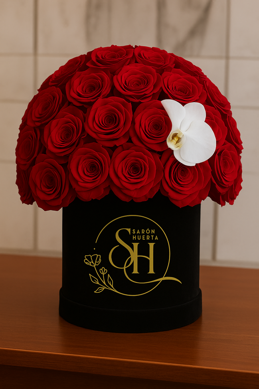 The Noir Passion Box